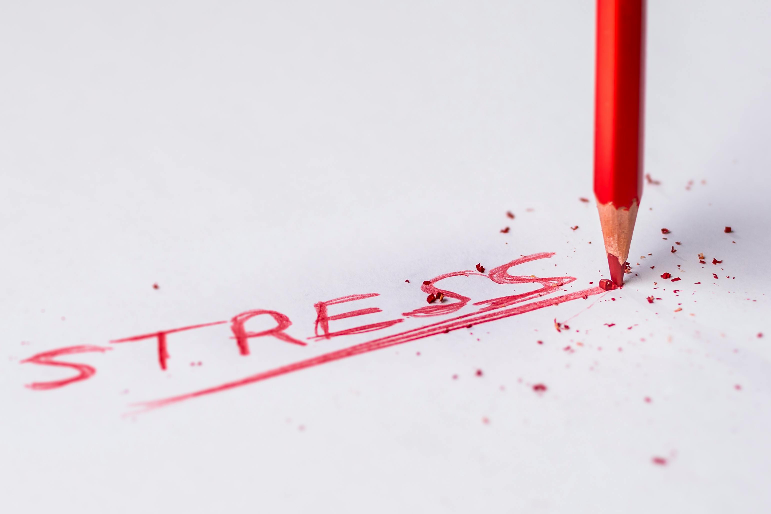Stress und Stressbewältigung
